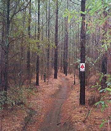 Discovery Trail Loop