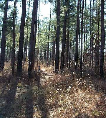 Discovery Trail Loop