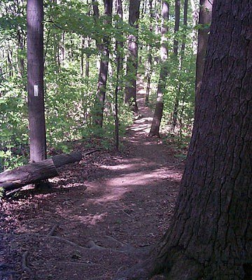 Woodlands Trail