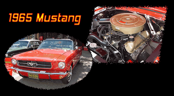 rosemustang.gif (57843 bytes)