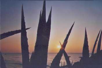 Sortida del sol a la platja