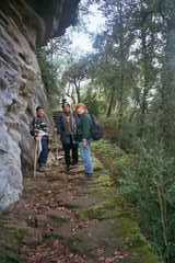 Pujada a Sant Feliuet de Savassona