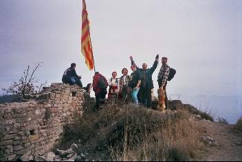 Runes del Castell de Voltregà