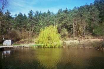 Presa d'Icona