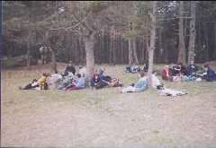 Dinant al prat sota Sant Feliuet de Savassona