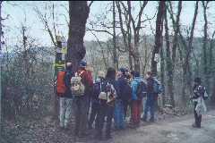 Cap a la dreta o cap a l'esquerra?