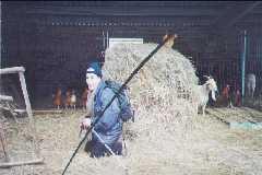Jose Mari a la granja