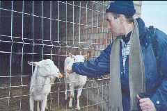 Jose Mari i les cabretes
