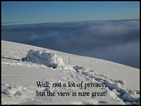 WAG BAG'n on the glacier