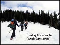 Yea - the forest trail - but still snow