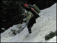 Dave (AAI guide) in action