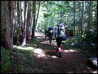 Surrounded by the forest growth