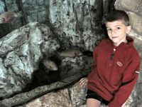 Cole and some trout in the river exhibit.