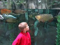 Fish checking out Cole!