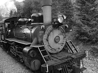 A black and white for that "old time pic" effect.