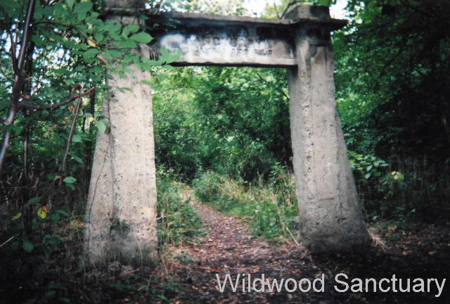 In the midst of the woods!