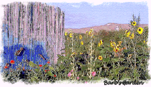My garden photo processed by Audrey Yoeckel