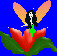 the fairy site fights!