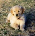 Awwwwww!
