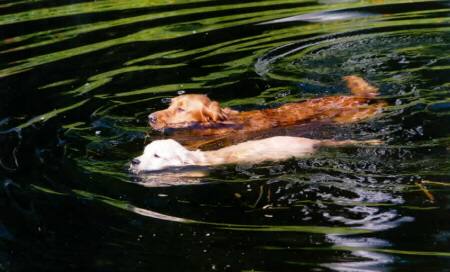 At the Pond!