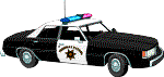 Police K9 Malinois