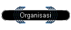 Organisasi