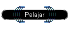 Pelajar