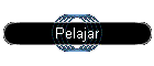 Pelajar