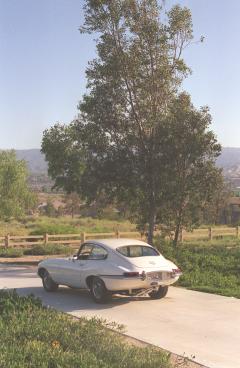 Jaguar E-Type Series 1 1/2 Coupe headlight