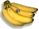 banana.gif (4843 bytes)