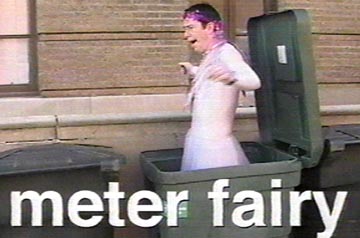 The Meter Fairy