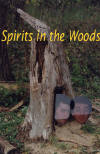 Spirits-in-the-Woods.jpg (44187 bytes)