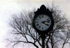Clock.jpg (43731 bytes)