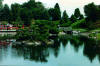 Japanese-Gardens.jpg (30414 bytes)