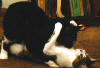 Lovers.jpg (9944 bytes)