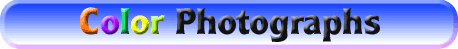 color photographs