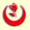 t�rk-islam fa�isti bbp