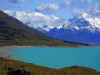 nature16.jpg (60230 bytes)