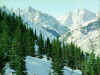 nature4.jpg (84069 bytes)
