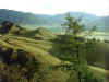 nature8.jpg (59628 bytes)