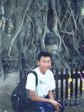 The sacred tree which was fenced up to prevent tourists from getting near