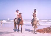 Horses were a common sight at the beach for tourist to ride on