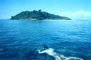 Experiencing the richness of the underwater world