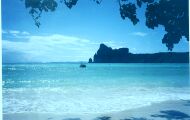The beautiful beach of Phi Phi Island