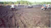 Mud.jpg (42538 bytes)