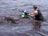 flooded.jpg (32043 bytes)
