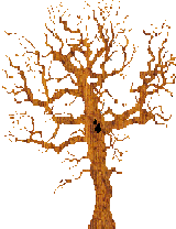 Harry Potter Whomping Tree