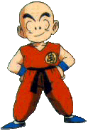 The Bald Monk