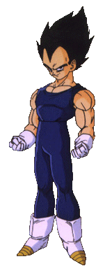 The Saiyan Prince