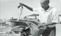 A FISH 'MONGER' DISPLAYS HIS GOODS